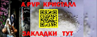 твердый Гай